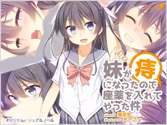 【内嵌汉化】妹妹得了痔疮所以给她塞栓剂的那件事【安卓KRKR/PC】