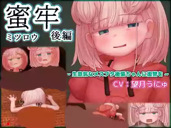 【内嵌汉化】蜜牢 后篇【安卓/PC】